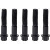Feuling Rear Pulley Bolts - Black 12 Point ARP. 7/16in.-14 x 2.00in.